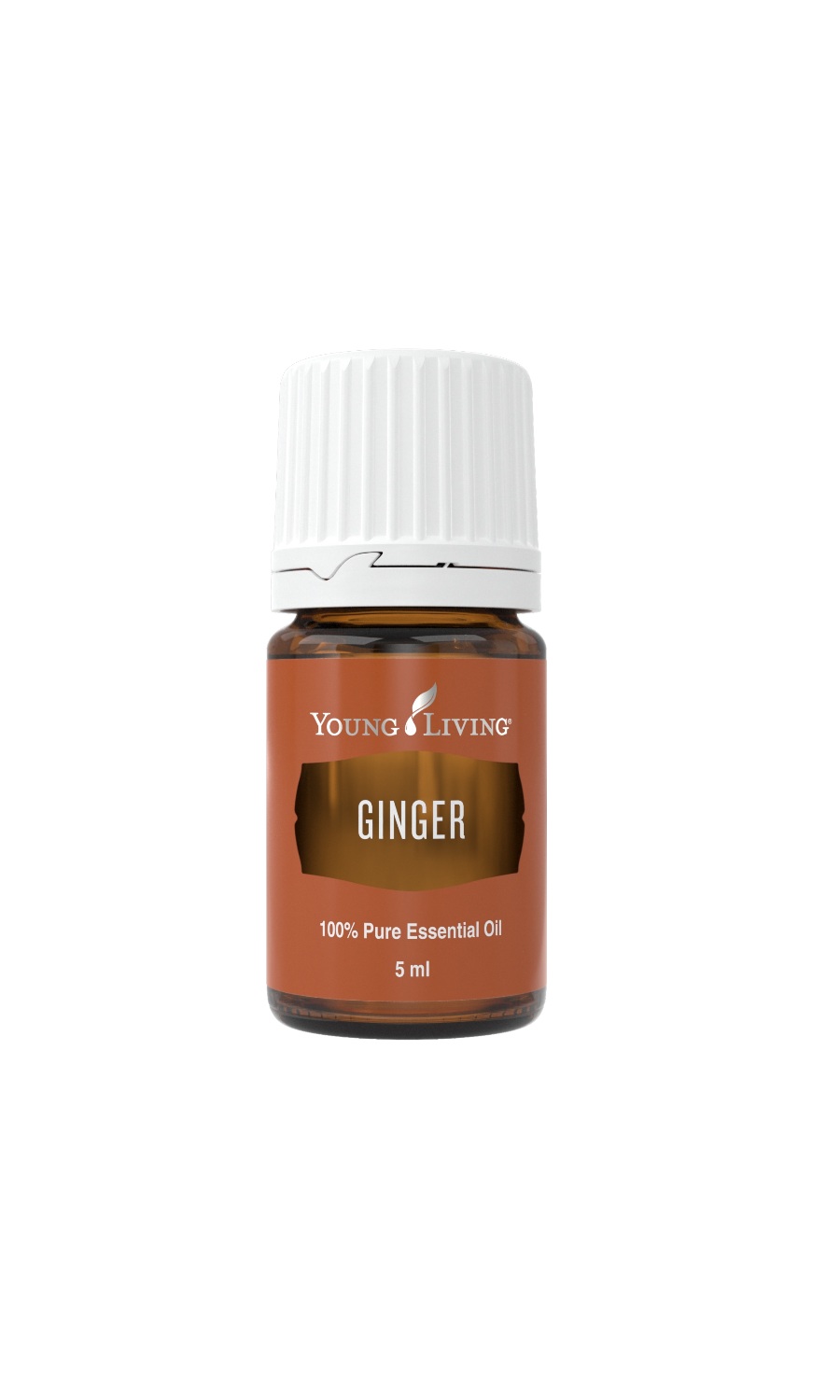 Ginger - Ätherisches Öl  5ml 